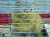 DSC06759.JPG