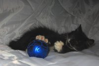IMG_1678.jpg