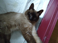 DSC00348.JPG
