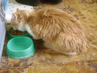 DSC06803.JPG