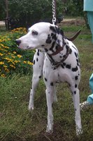 DSC00872.JPG