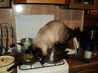 DSC02826.jpg
