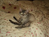 DSC02852.jpg