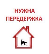 передержка.jpg