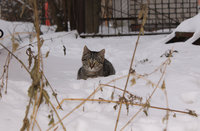 IMG_3917.jpg