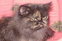 DSC00886.JPG