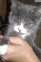 DSC00878.JPG
