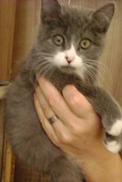 DSC00879.JPG