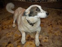 100_1315.JPG