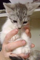 DSC00894.JPG
