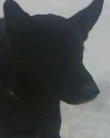 DSC00470.JPG