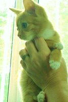 DSC00890.JPG