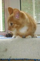 DSC00885.JPG
