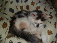 SAM_1540.JPG