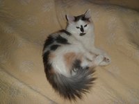 SAM_1558.JPG