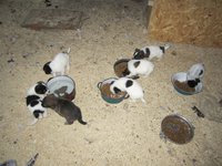 IMG_4769.jpg