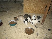 IMG_4771.jpg