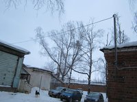 IMG_4775.jpg