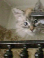 DSC06980.JPG