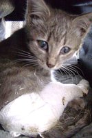 DSC00935.JPG
