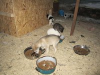IMG_4772.jpg