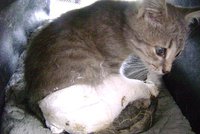 DSC00936.JPG