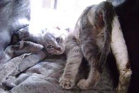DSC00937.JPG