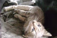 DSC00929.JPG