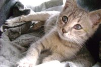 DSC00922.JPG