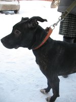 валента 19.01. 001.jpg