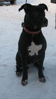валента 19.01. 002.jpg
