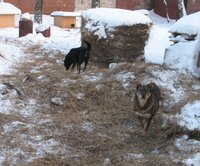 валента 19.01. 007.jpg