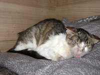 DSC00946.JPG