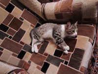 20130125021511_DSCN1405.JPG