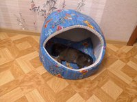 IMG_20130120_212606.jpg
