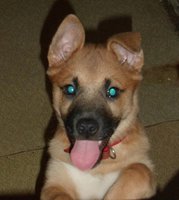 SAM_3407.JPG