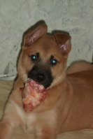 SAM_3419.JPG