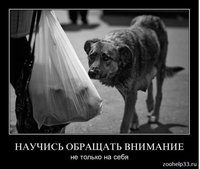 макет 2.jpg