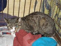 IMG_4830.JPG