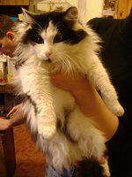 DSC07065.JPG