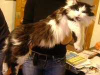 DSC07066.JPG