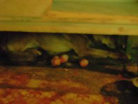 DSC07077.JPG