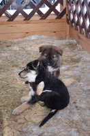 DSC_0049й.jpg