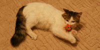 DSC09881.JPG