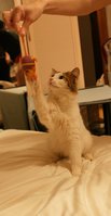 DSC09882.JPG