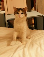 DSC09883.JPG