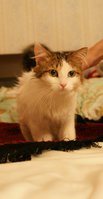 DSC09889.JPG