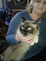 20130122_122917.jpg