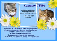 объявление темам.JPG