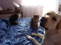 Даня 1.jpg